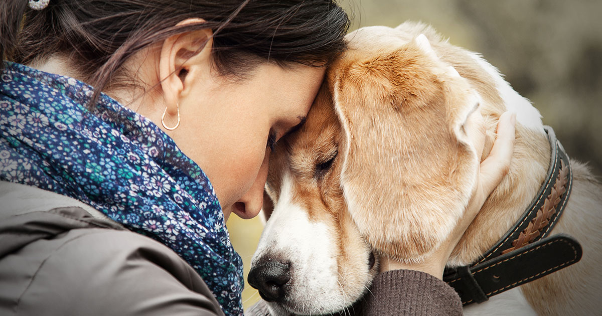 Tierarzt mit Mikrochip-Ausdruck