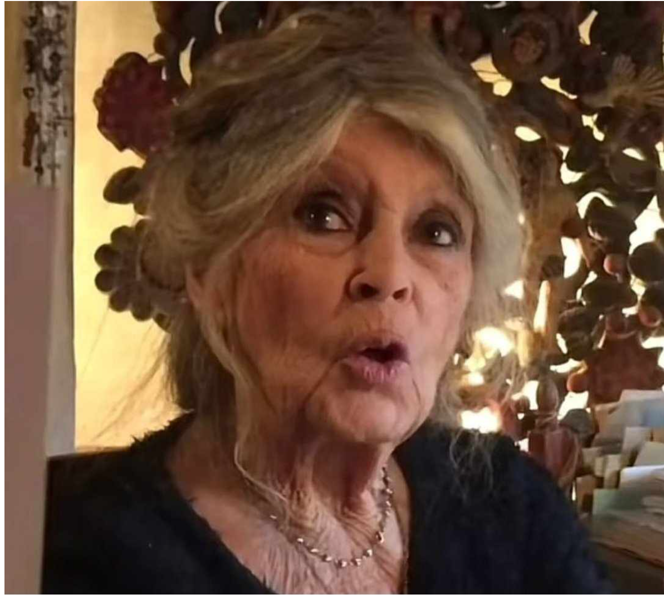 Brigitte Bardot im hohen Alter