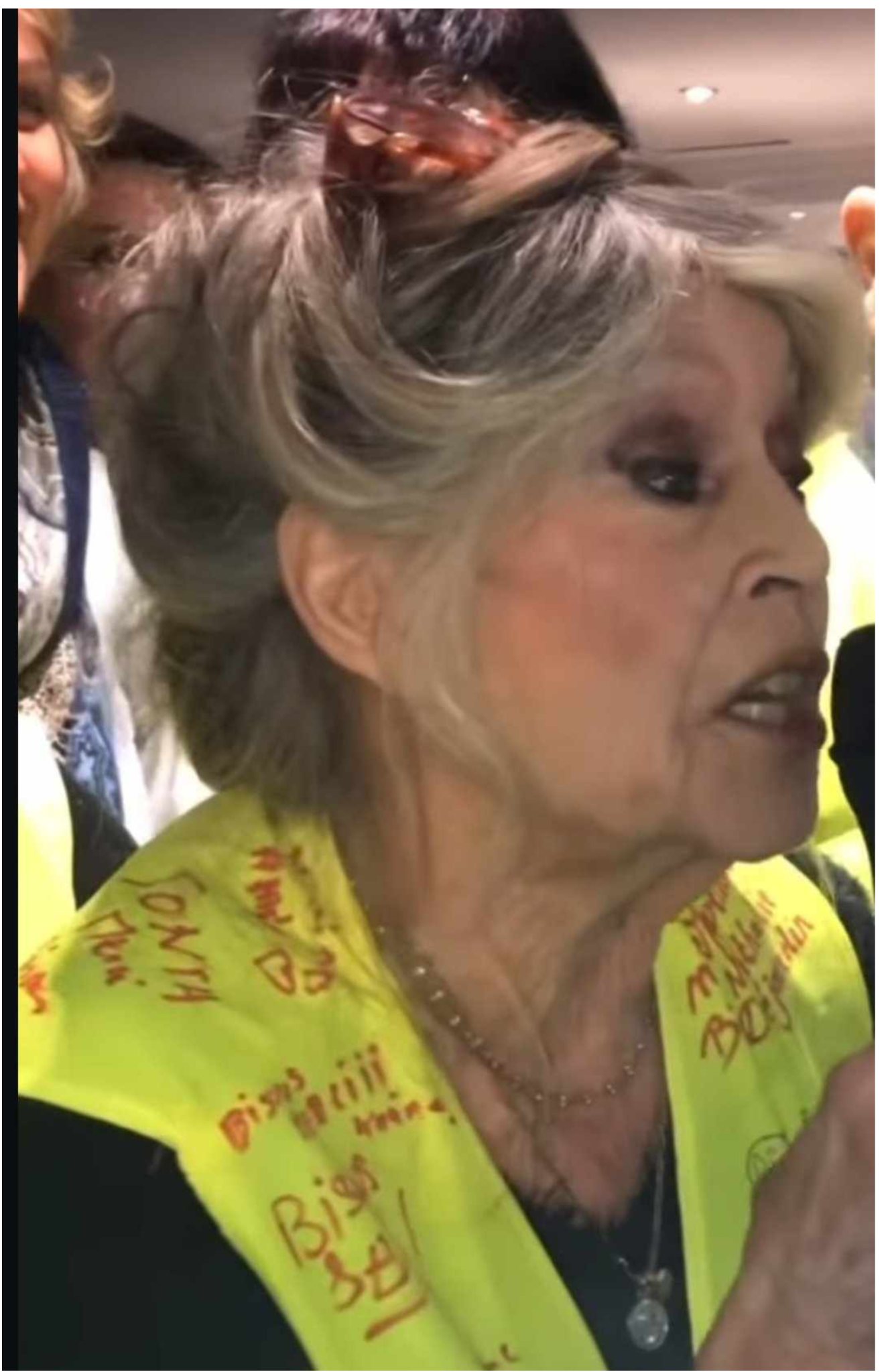 Brigitte Bardot Schönheit