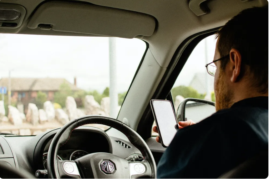 Hund wartet am Straßenrand