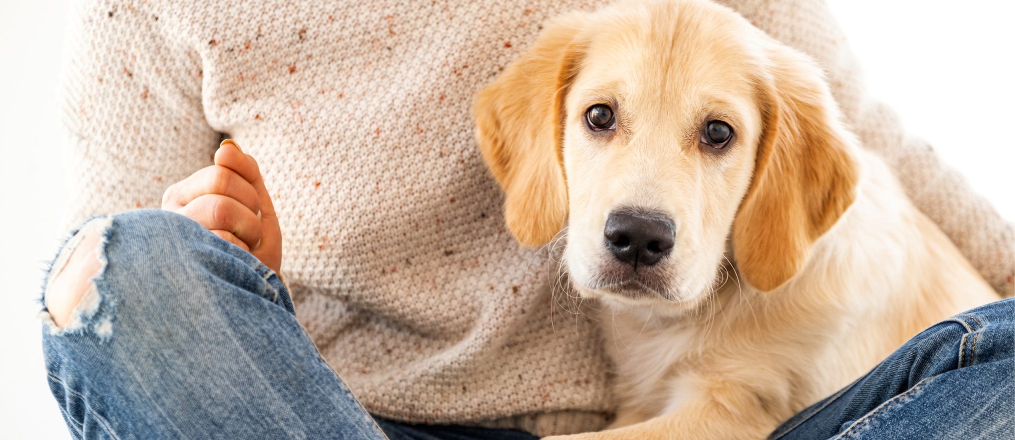 Halsbandschild mit Namen Russell